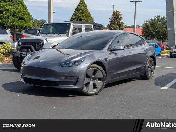 TESLA MODEL 3 2023 5YJ3E1EA6PF614486 image